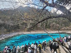 -乡土特色.冷锅鱼.牦牛肉汤锅
