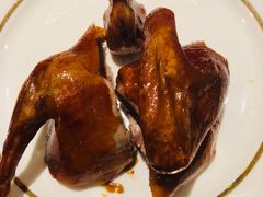 -甄御•海鲜新青岛菜(麦岛店)