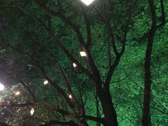 -星湖街(地铁站)