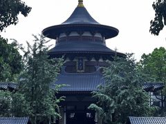 -南宁良凤江国家森林公园