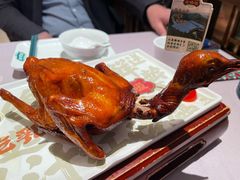 爆汁红烧鸽皇-大鸽饭(体育西路店)