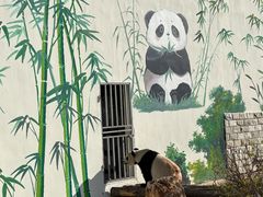 -大青山野生动物园