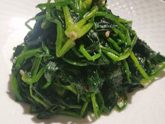 -荟廷·晶萃(陆家嘴尚悦湾店)