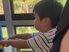 -五营红松林海景区