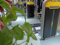 -阳光游泳培训基地(天通苑店)