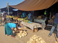 -尼甘布海鲜市场