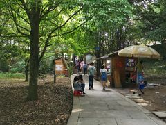 -普陀山风景区-佛顶山