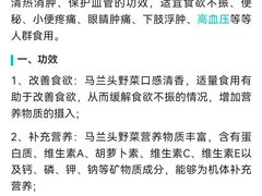 -观桥阁(锦溪店)