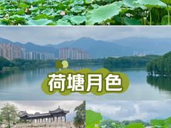 -飞来湖湿地公园