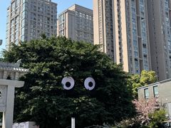 -铁像寺水街