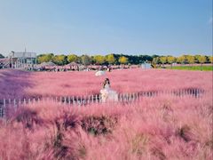 -嘉北郊野公园
