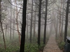 -白草畔自然风景区