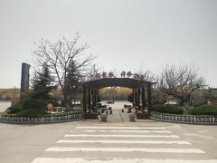 -诸城服务区-停车场