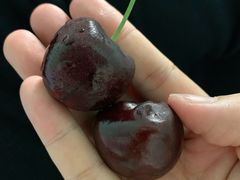 -东方鼎信农副产品交易中心