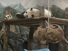 -武汉动物园