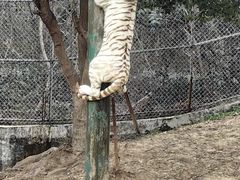 -常州淹城野生动物世界