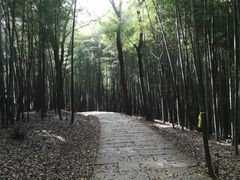 -西湖风景区十里琅珰-五云山