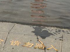-丁香湖公园