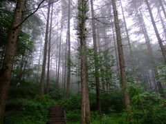 -洛阳白云山景区