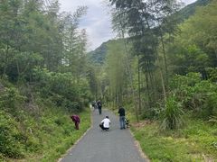 -龙坞茶村