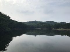 -南京市无想山景区