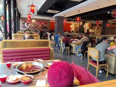 -蜀滋香鲜鱼美蛙火锅(339店)