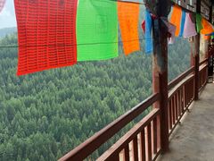 -芦芽山旅游度假区