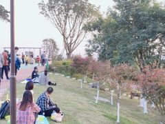 -铁山坪森林公园