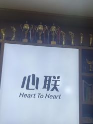 -心联形象设计·流星染