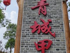 -青城甲(青城山店)