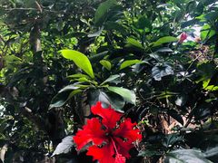-南山植物园