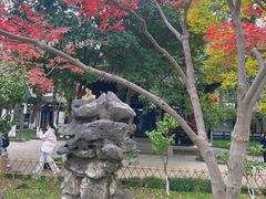 -常熟方塔园