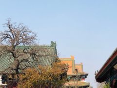 -天津大悲禅院