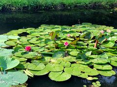 -长白岛森林公园