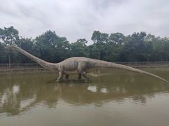 -上海海湾国家森林公园