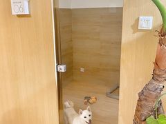 -Double Rui宠物酒店