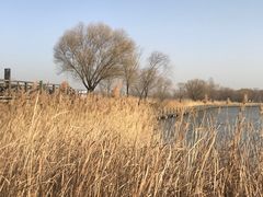 -野鸭湖国家湿地公园