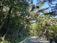 -北岭山森林公园