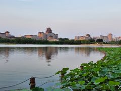-莲花池公园