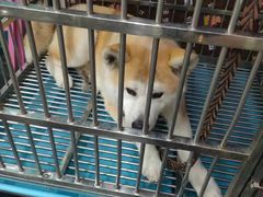 -美联众合动物医院(唯恩分院)