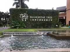 -三亚湾红树林度假世界(木棉酒店)