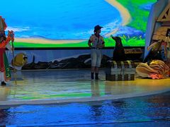 -三亚海昌梦幻海洋不夜城