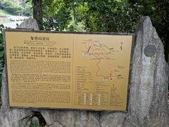 -千岛湖石林