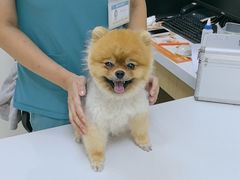 -美联众合动物医院·24h京西诊疗中心