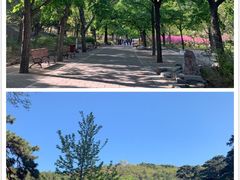 -香山公园