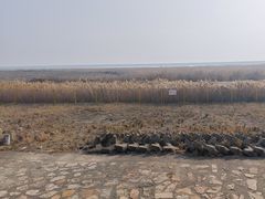 -金山嘴渔村