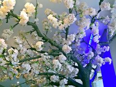 -北京花见餐饮管理有限公司