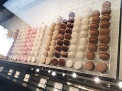 -BLACKSWAN黑天鹅(环球店)