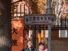 -三里屯东五街银杏大道
