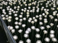 -爱来魔相4D艺术馆(济州中文馆)